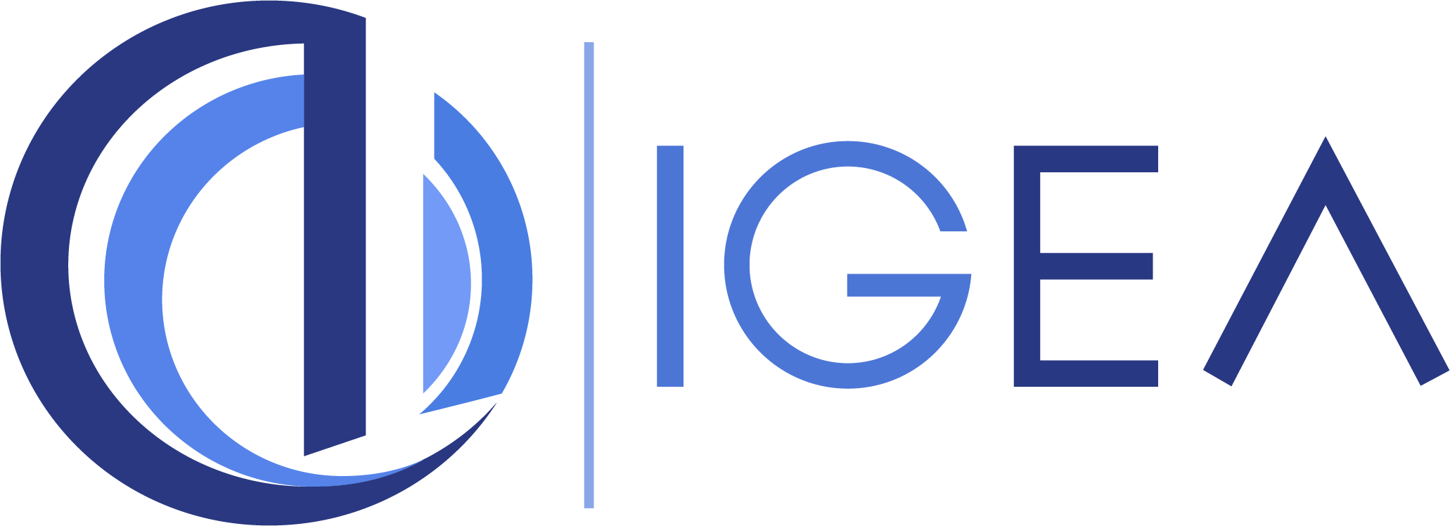 IGEA SRL